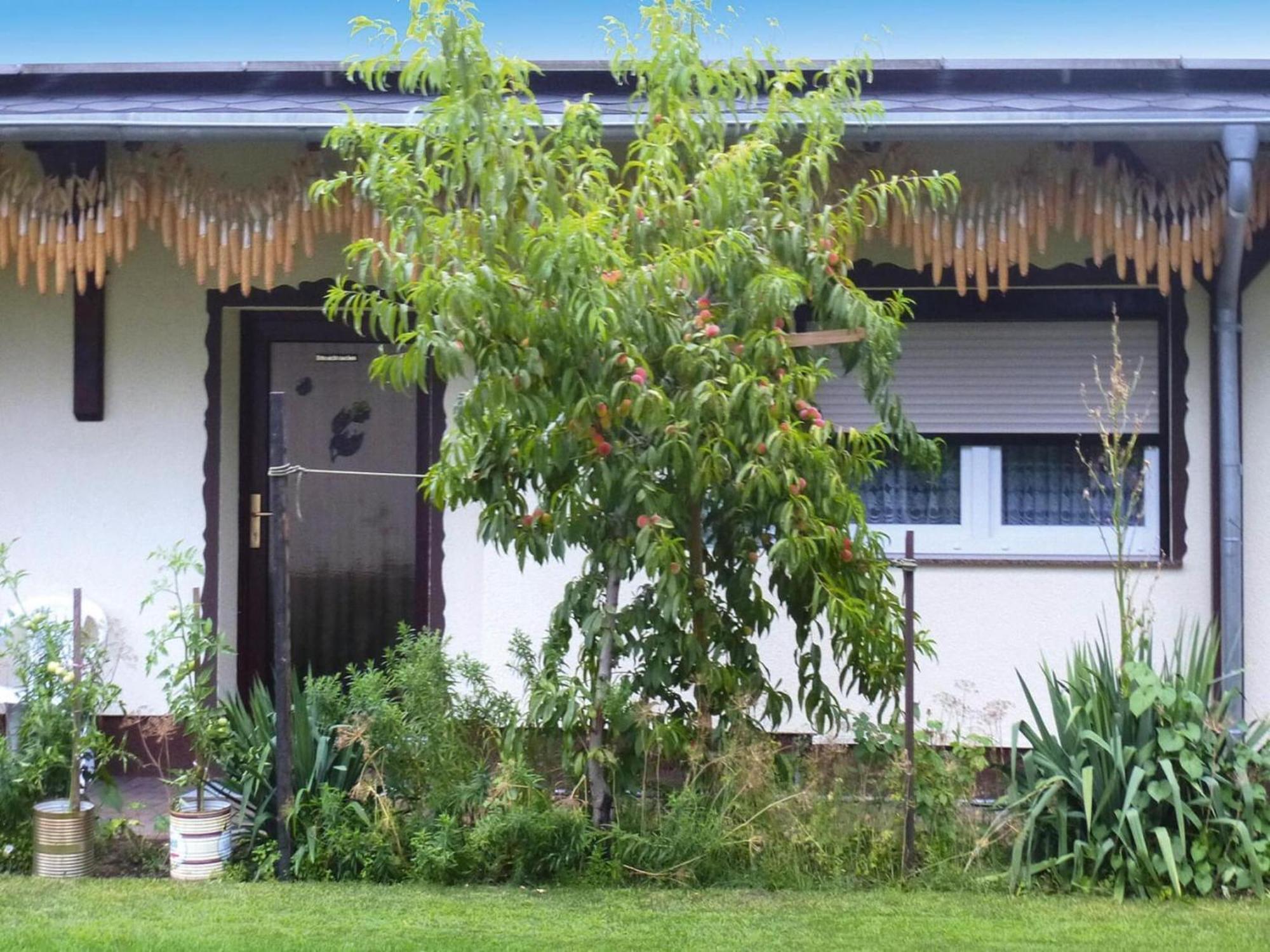 Bungalow In L Bben With A Terrace Lübben Extérieur photo